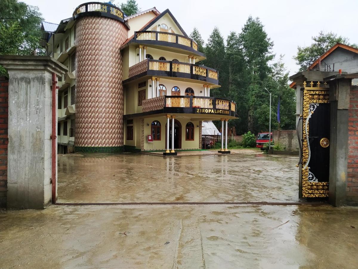 Ziro Palace Inn - A Boutique Hotel Hapoli Exterior foto